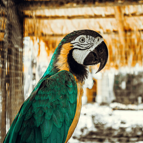 gestión ambiental foto